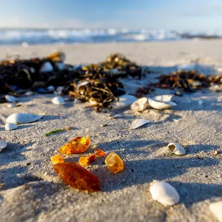 Inselzeit Comfort * Sellin (Rugen)